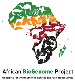 African BioGenome Project (AfricaBP)